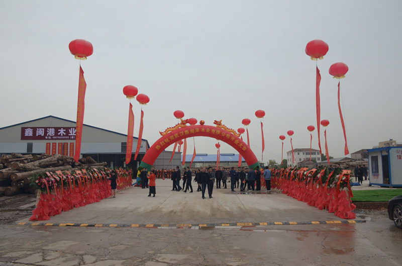 2021年3月30日武汉鑫闽港木业有限公司隆重开业(图1)