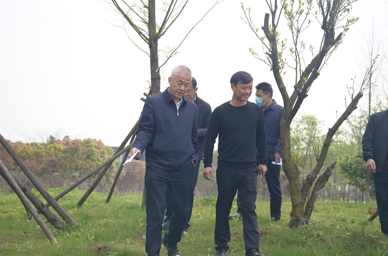 蔡甸区委书记陈新垓调研凤翔岛洲际假日酒店项目(图3)