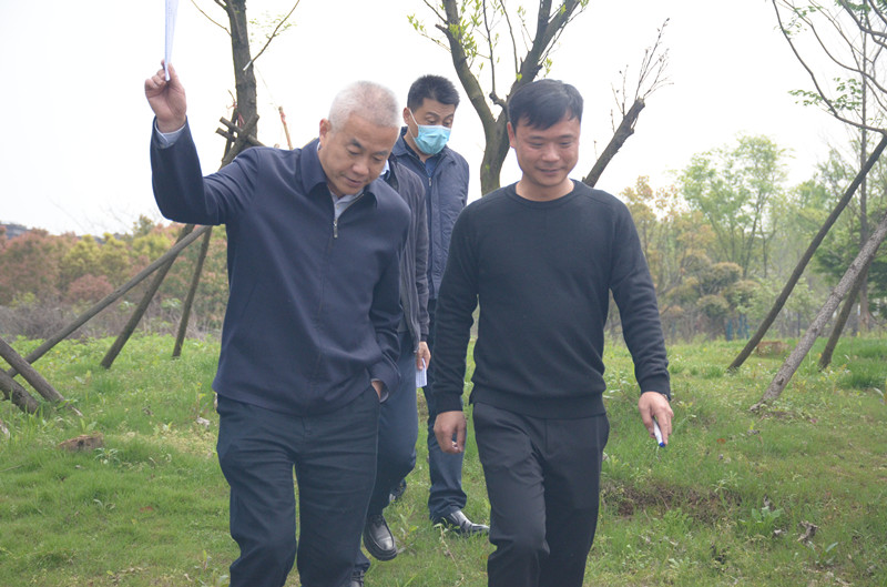 蔡甸区委书记陈新垓调研凤翔岛洲际假日酒店项目(图7)